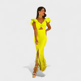 Iris - Neon Flamenco Dress