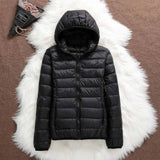 Violet - Waterproof Jacket